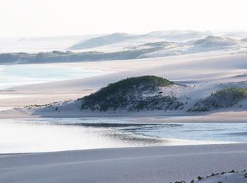 Vilanculos Sanctuary