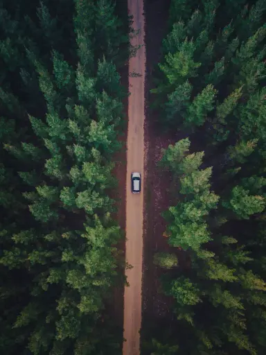 a car driving between the forest on the road
