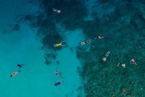 aerial view of snorkelers