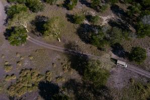 Aerial view of a 4x4 safari going through the bush at Gorongosa National Park in Mozambique