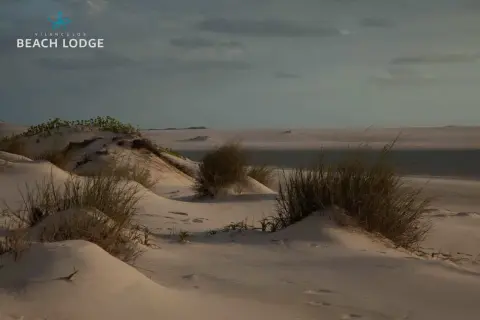 dunes in mozambique