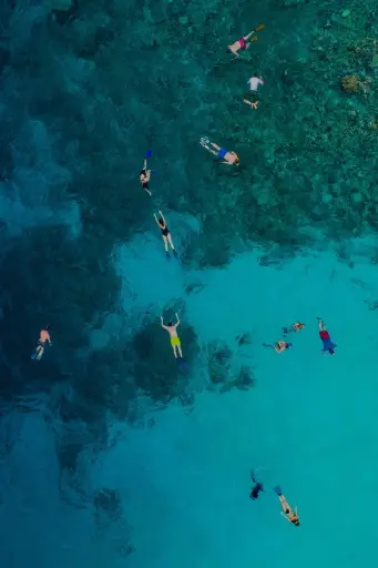 a group of peope snorkelling in the ocean